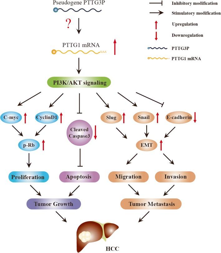 https://cdn.ncbi.nlm.nih.gov/pmc/blobs/7a4a/5970477/f258d4114388/12943_2018_841_Fig8_HTML.jpg