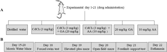 https://cdn.ncbi.nlm.nih.gov/pmc/blobs/7a4a/9402671/2c7f888606a7/41598_2022_18432_Fig1_HTML.jpg