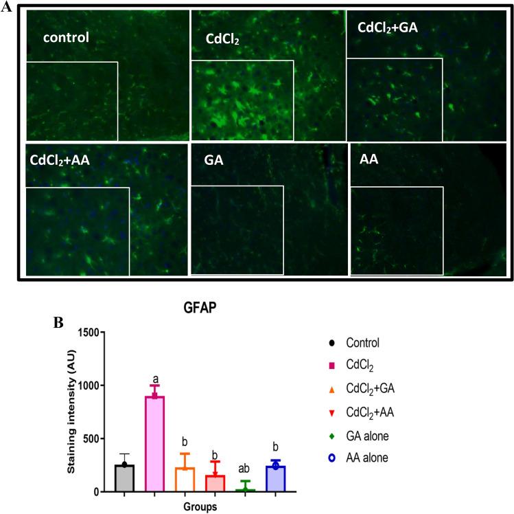 https://cdn.ncbi.nlm.nih.gov/pmc/blobs/7a4a/9402671/7608a9edde0c/41598_2022_18432_Fig10_HTML.jpg