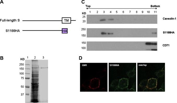 https://cdn.ncbi.nlm.nih.gov/pmc/blobs/7a4b/7092920/59cc02380f41/gr2.jpg