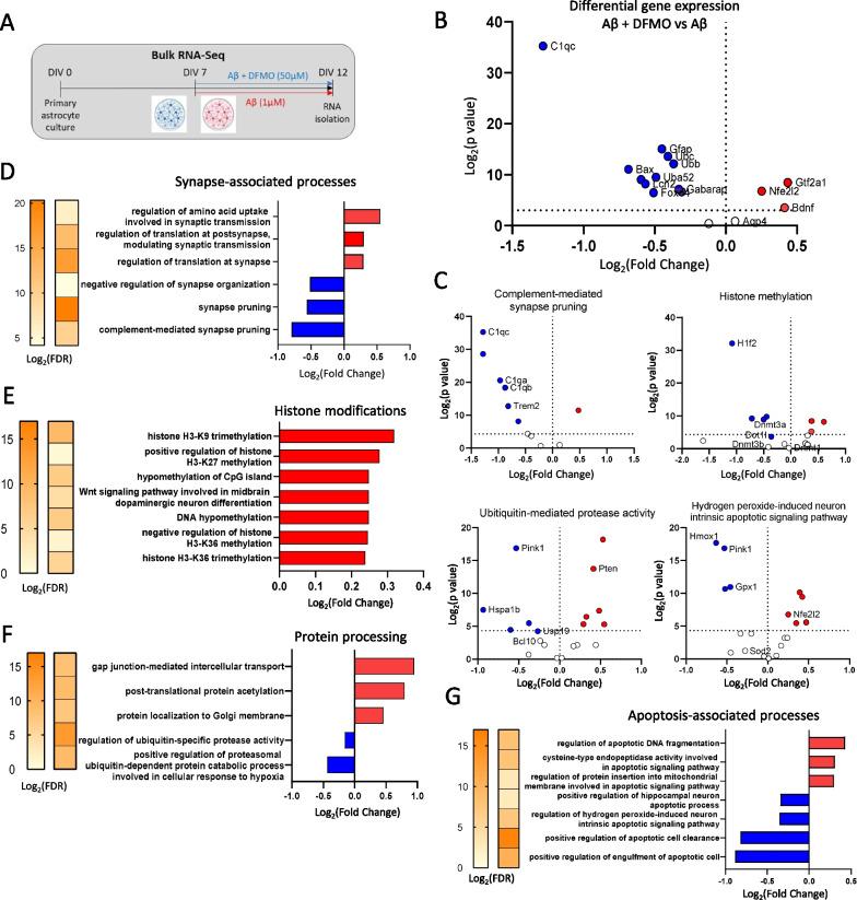 https://cdn.ncbi.nlm.nih.gov/pmc/blobs/7a4f/10785549/9c7c7187bf2c/13041_2024_1076_Fig3_HTML.jpg