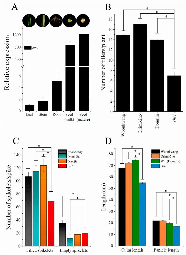https://cdn.ncbi.nlm.nih.gov/pmc/blobs/7a4f/9655508/61afbff0d8a3/ijms-23-13225-g004.jpg