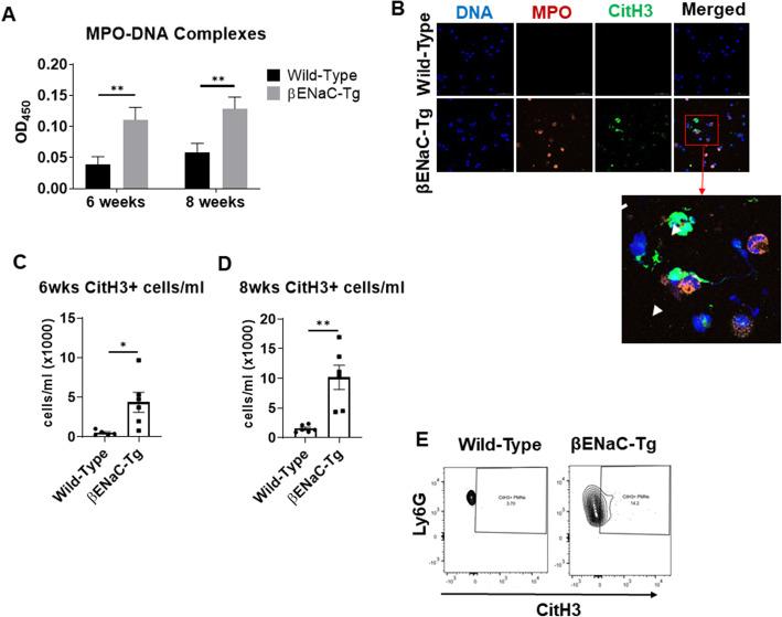 https://cdn.ncbi.nlm.nih.gov/pmc/blobs/7a50/7819174/1e8acb539585/12865_2021_397_Fig4_HTML.jpg