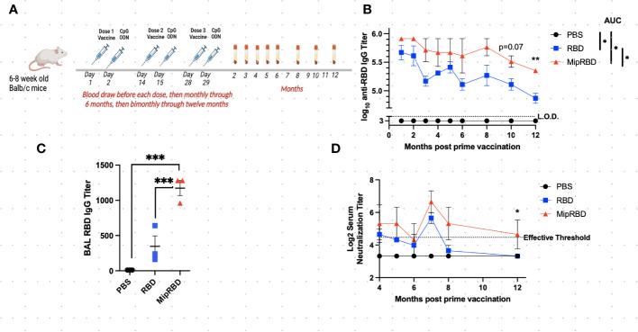 https://cdn.ncbi.nlm.nih.gov/pmc/blobs/7a53/10870766/8f6365fd4b30/fimmu-15-1292059-g001.jpg