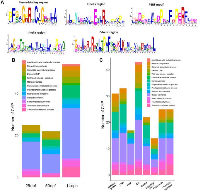 https://cdn.ncbi.nlm.nih.gov/pmc/blobs/7a53/8270824/fc826b584933/10126_2021_10042_Fig7_HTML.jpg