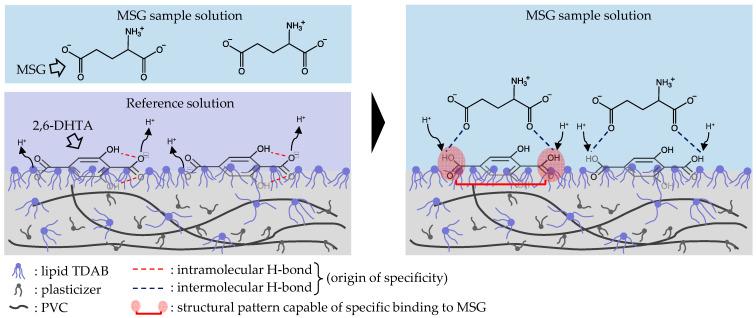 https://cdn.ncbi.nlm.nih.gov/pmc/blobs/7a54/10887241/dd89708e3be0/biosensors-14-00095-g008.jpg