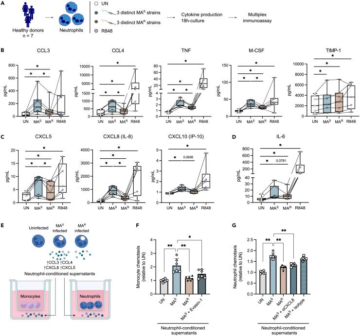 https://cdn.ncbi.nlm.nih.gov/pmc/blobs/7a54/11070714/7ed82a3b3868/gr3.jpg