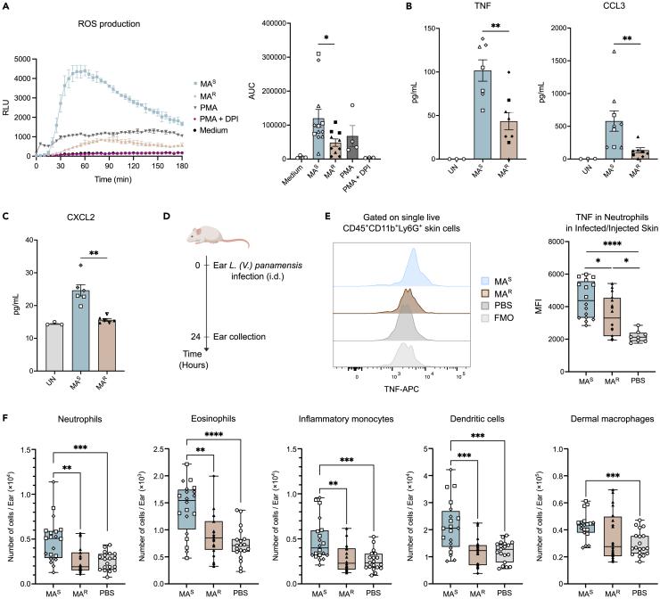 https://cdn.ncbi.nlm.nih.gov/pmc/blobs/7a54/11070714/9537d2248cb5/gr5.jpg