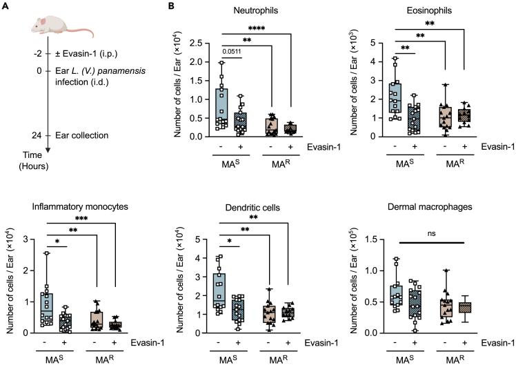 https://cdn.ncbi.nlm.nih.gov/pmc/blobs/7a54/11070714/e88019dba1e0/gr6.jpg