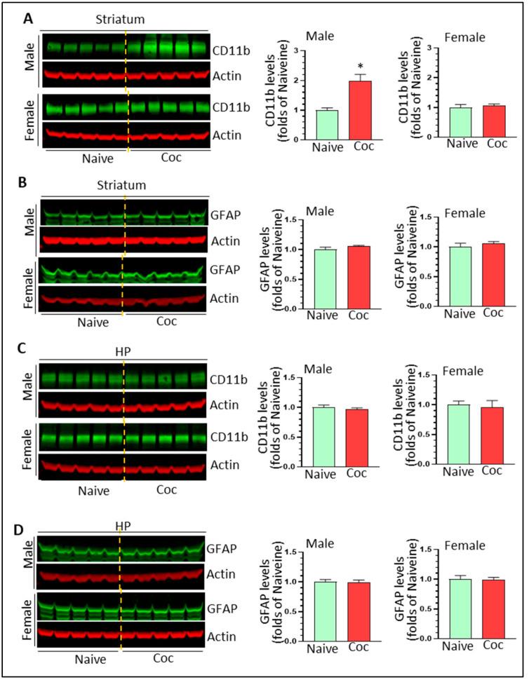 https://cdn.ncbi.nlm.nih.gov/pmc/blobs/7a55/10376186/a587d8de47b0/biomedicines-11-01800-g002.jpg