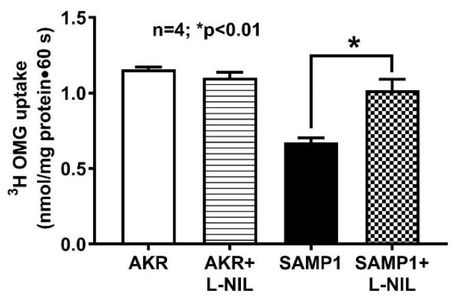 https://cdn.ncbi.nlm.nih.gov/pmc/blobs/7a55/7600670/1f7ecd31208b/nutrients-12-03116-g006.jpg