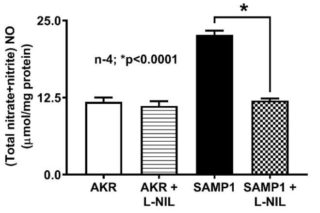 https://cdn.ncbi.nlm.nih.gov/pmc/blobs/7a55/7600670/520b2a8b6919/nutrients-12-03116-g003.jpg