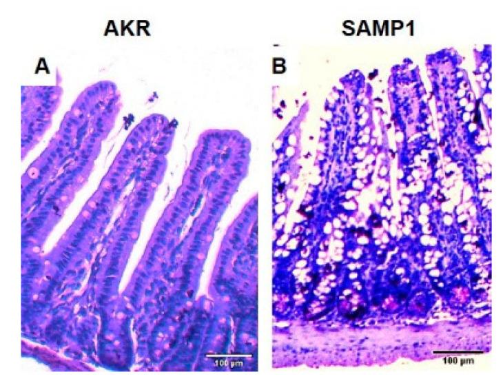 https://cdn.ncbi.nlm.nih.gov/pmc/blobs/7a55/7600670/6fe7a749e9f2/nutrients-12-03116-g001.jpg