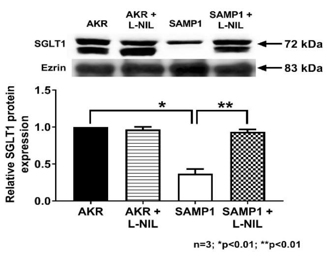 https://cdn.ncbi.nlm.nih.gov/pmc/blobs/7a55/7600670/9a660b310ffe/nutrients-12-03116-g009.jpg