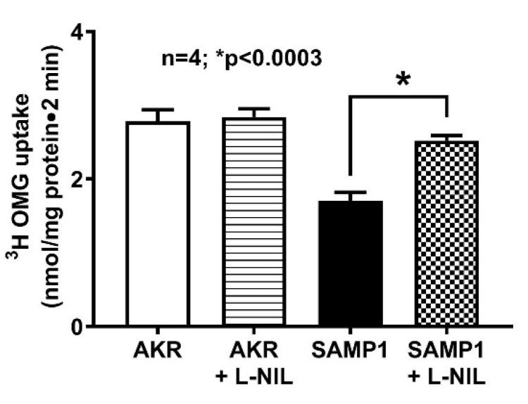 https://cdn.ncbi.nlm.nih.gov/pmc/blobs/7a55/7600670/d9d2377d0448/nutrients-12-03116-g004.jpg
