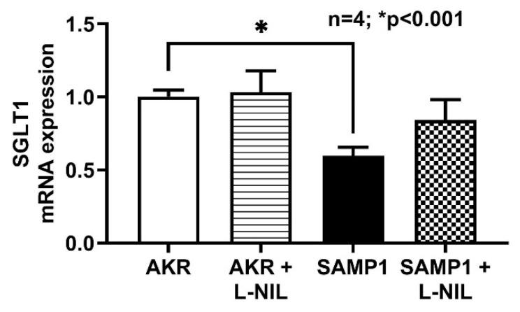 https://cdn.ncbi.nlm.nih.gov/pmc/blobs/7a55/7600670/e5135aebed59/nutrients-12-03116-g007.jpg