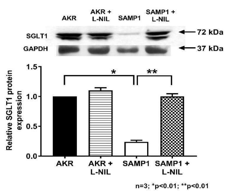 https://cdn.ncbi.nlm.nih.gov/pmc/blobs/7a55/7600670/f3b3c954fb0b/nutrients-12-03116-g008.jpg