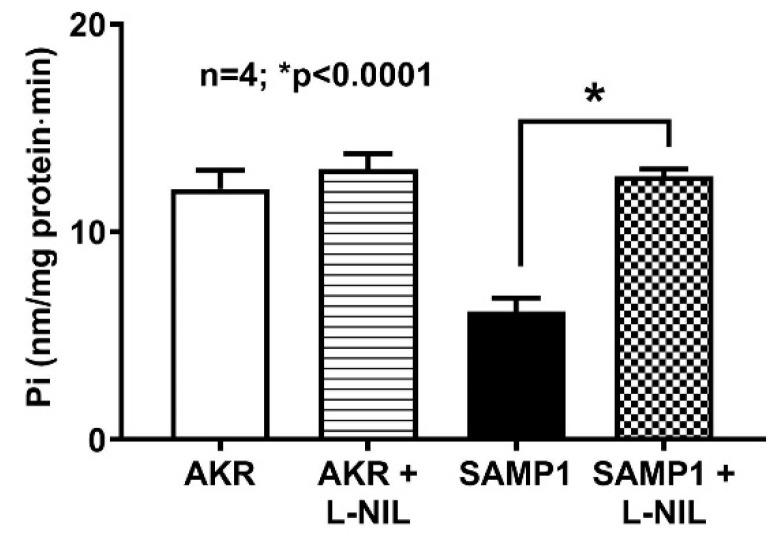 https://cdn.ncbi.nlm.nih.gov/pmc/blobs/7a55/7600670/f8a392ae6c8c/nutrients-12-03116-g005.jpg
