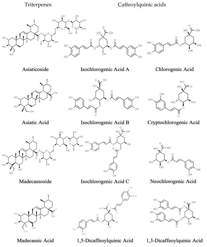 https://cdn.ncbi.nlm.nih.gov/pmc/blobs/7a55/8868383/233ff4b6fa5c/antioxidants-11-00215-g001.jpg