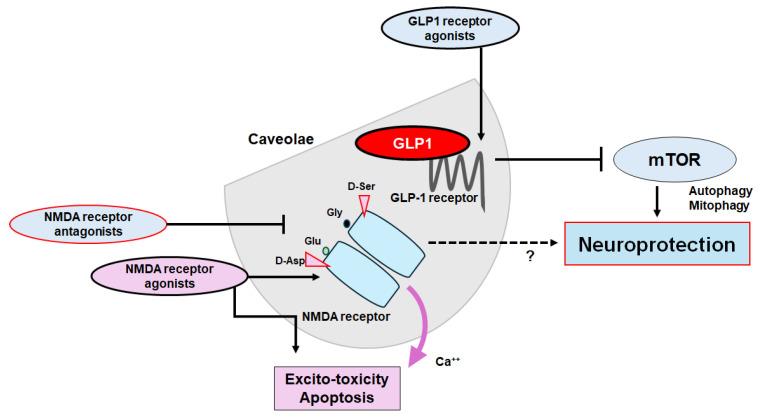 https://cdn.ncbi.nlm.nih.gov/pmc/blobs/7a56/11357136/5d817b6e047f/molecules-29-03922-g004.jpg