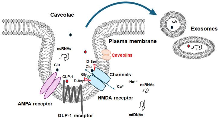 https://cdn.ncbi.nlm.nih.gov/pmc/blobs/7a56/11357136/bd5b574e9956/molecules-29-03922-g001.jpg