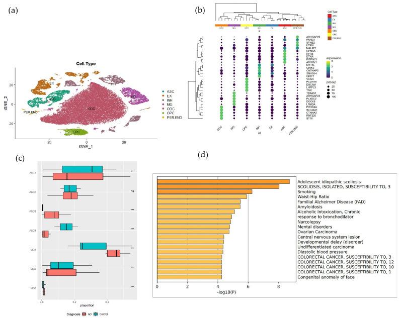 https://cdn.ncbi.nlm.nih.gov/pmc/blobs/7a57/9496783/663c6928af32/brainsci-12-01196-g002.jpg