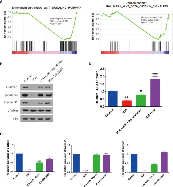 https://cdn.ncbi.nlm.nih.gov/pmc/blobs/7a57/9516086/5140c9891cff/fonc-12-940926-g003.jpg