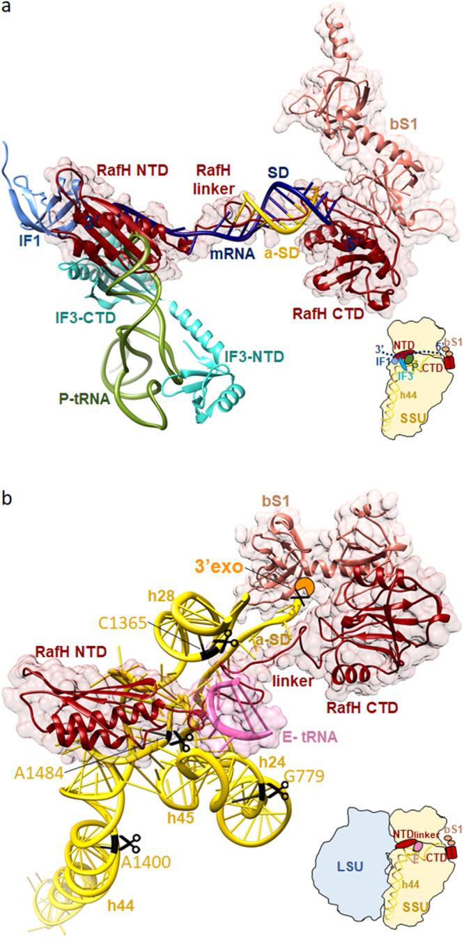 https://cdn.ncbi.nlm.nih.gov/pmc/blobs/7a59/10799931/b8c9b0e3d5a7/41467_2024_44879_Fig5_HTML.jpg