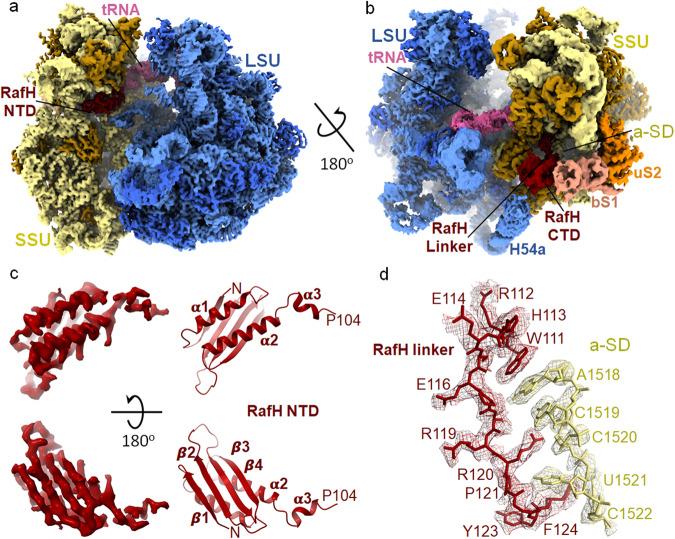 https://cdn.ncbi.nlm.nih.gov/pmc/blobs/7a59/10799931/ff3919750446/41467_2024_44879_Fig2_HTML.jpg