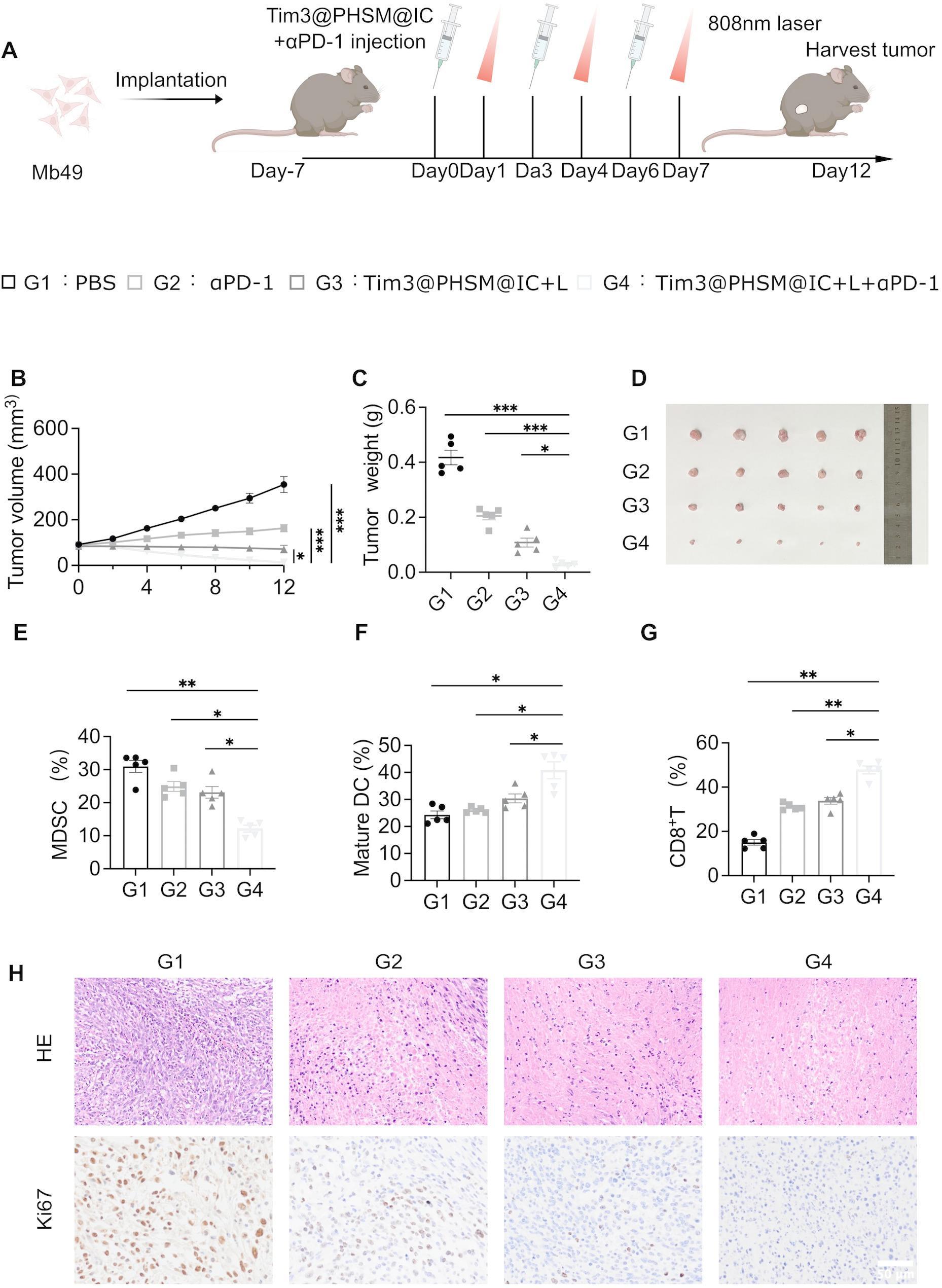 https://cdn.ncbi.nlm.nih.gov/pmc/blobs/7a59/12144687/3386835199fd/12951_2025_3511_Figa_HTML.jpg