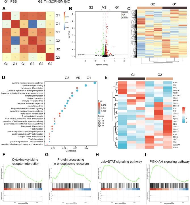 https://cdn.ncbi.nlm.nih.gov/pmc/blobs/7a59/12144687/c98da1a01814/12951_2025_3511_Fig10_HTML.jpg