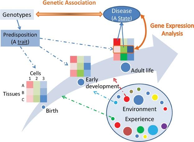 https://cdn.ncbi.nlm.nih.gov/pmc/blobs/7a5a/4033528/4e493f127fee/bies0036-0305-f3.jpg