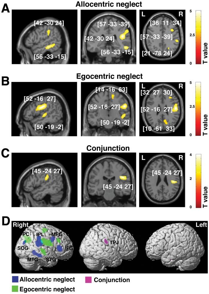 https://cdn.ncbi.nlm.nih.gov/pmc/blobs/7a5c/3486857/03f9748c0e48/pone.0047821.g002.jpg