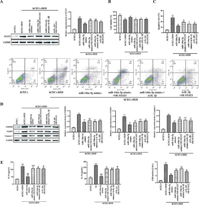 https://cdn.ncbi.nlm.nih.gov/pmc/blobs/7a5e/10981279/9664a0a109cb/12886_2024_3396_Fig5_HTML.jpg