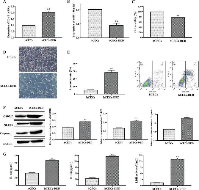 https://cdn.ncbi.nlm.nih.gov/pmc/blobs/7a5e/10981279/c95fb13e88aa/12886_2024_3396_Fig1_HTML.jpg