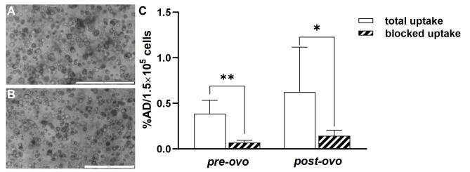 https://cdn.ncbi.nlm.nih.gov/pmc/blobs/7a5e/11436503/1390535c3b3b/13550_2024_1151_Fig4_HTML.jpg