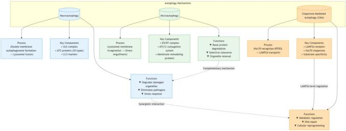 https://cdn.ncbi.nlm.nih.gov/pmc/blobs/7a5f/12137425/311626137a10/10238_2025_1695_Fig1_HTML.jpg