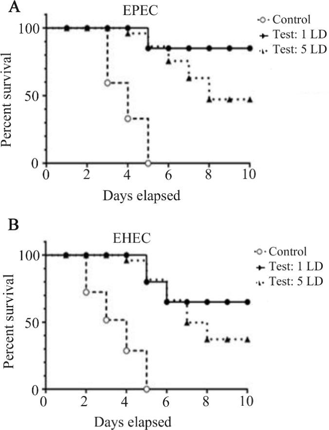 https://cdn.ncbi.nlm.nih.gov/pmc/blobs/7a60/9706248/2283b4926a59/AJMB-14-294-g008.jpg