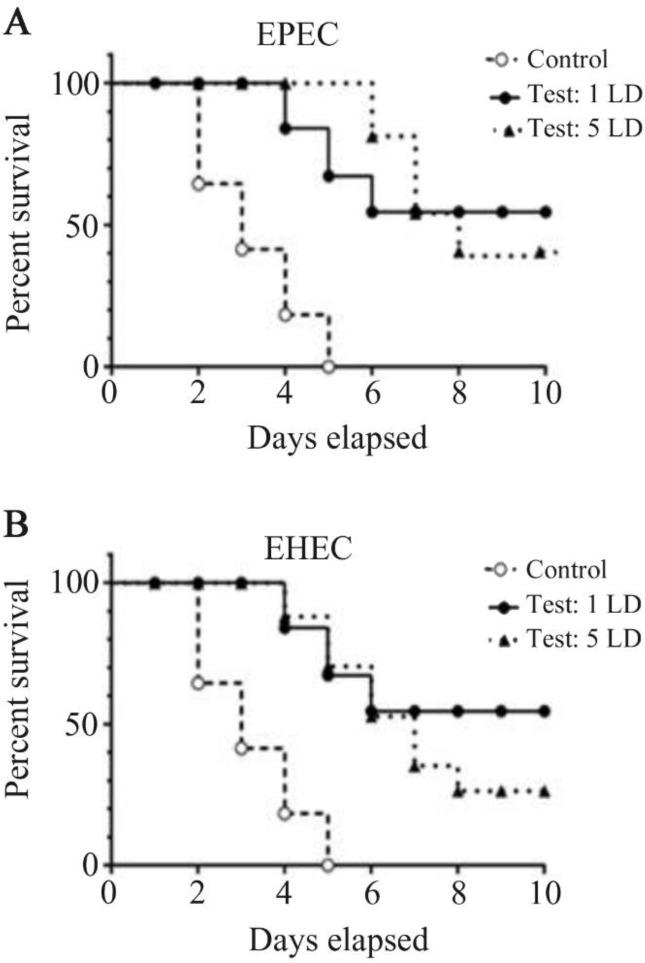 https://cdn.ncbi.nlm.nih.gov/pmc/blobs/7a60/9706248/6f926855f8c6/AJMB-14-294-g010.jpg