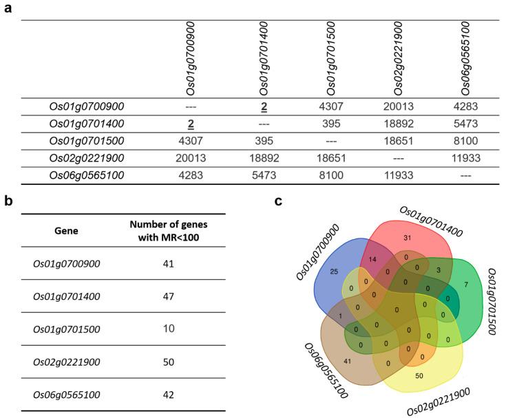 https://cdn.ncbi.nlm.nih.gov/pmc/blobs/7a61/7709044/00a29c381e49/genes-11-01348-g007.jpg