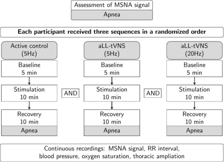https://cdn.ncbi.nlm.nih.gov/pmc/blobs/7a61/7744823/b9ac2e283395/fphys-11-599896-g001.jpg