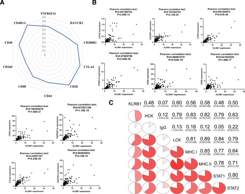 https://cdn.ncbi.nlm.nih.gov/pmc/blobs/7a62/11018193/2df6e05e5543/medi-103-e37688-g006.jpg