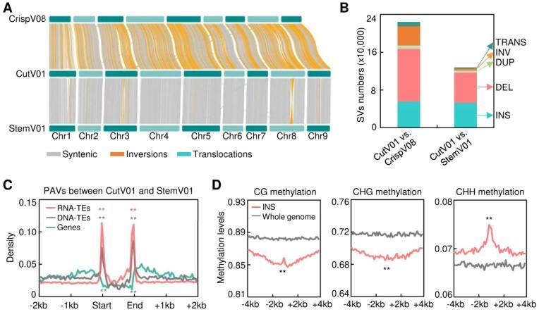 https://cdn.ncbi.nlm.nih.gov/pmc/blobs/7a62/11238431/3b662b555577/giae043fig2.jpg