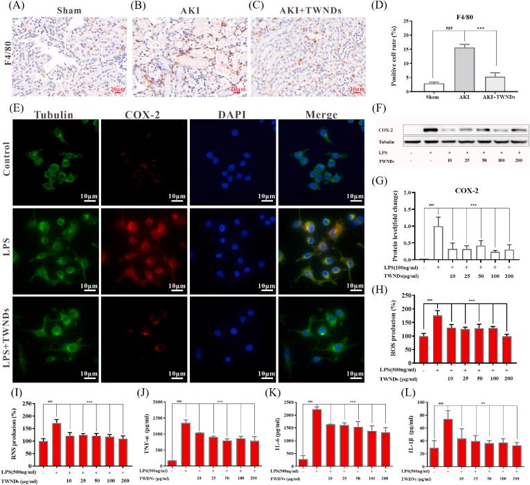 https://cdn.ncbi.nlm.nih.gov/pmc/blobs/7a62/9483742/03e1799e080f/gr6.jpg