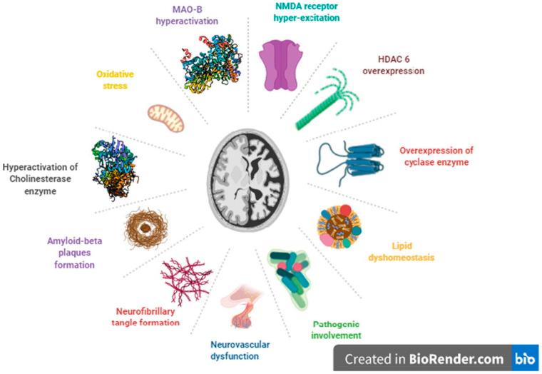 https://cdn.ncbi.nlm.nih.gov/pmc/blobs/7a63/11206655/49c8290cd603/pharmaceuticals-17-00741-g001.jpg