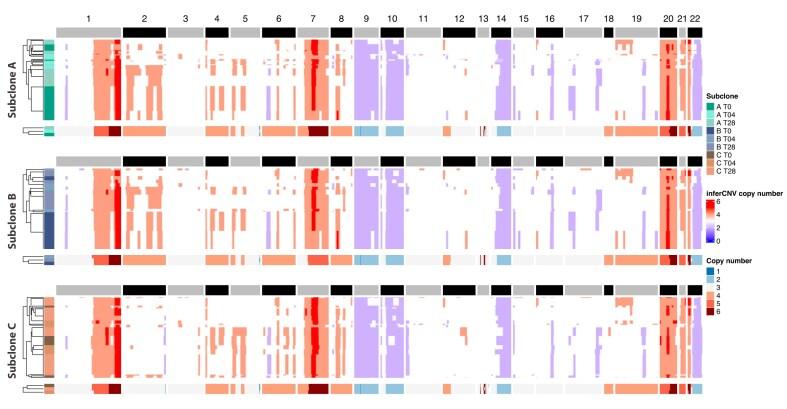 https://cdn.ncbi.nlm.nih.gov/pmc/blobs/7a63/11941470/3d1954ae9f9d/gkaf173fig3.jpg
