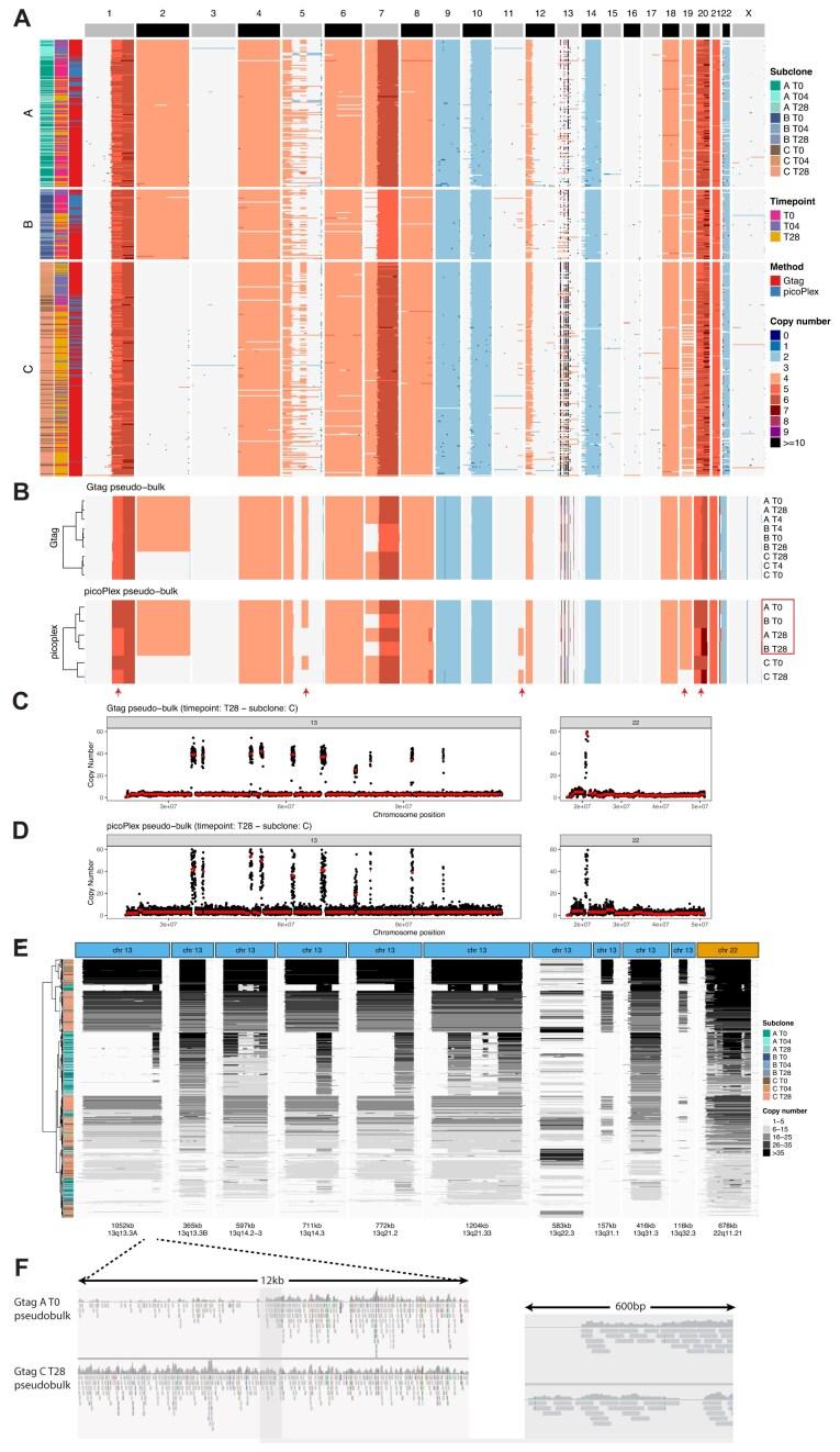 https://cdn.ncbi.nlm.nih.gov/pmc/blobs/7a63/11941470/e6f444565813/gkaf173fig2.jpg