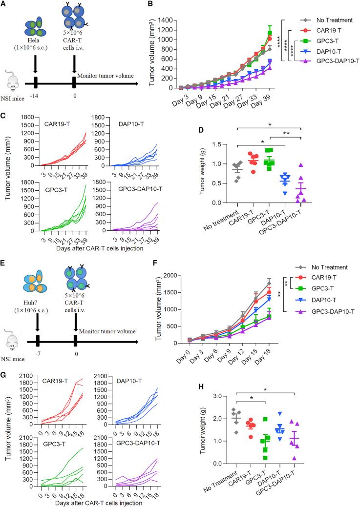 https://cdn.ncbi.nlm.nih.gov/pmc/blobs/7a64/9218287/45b69e81a9da/gr4.jpg