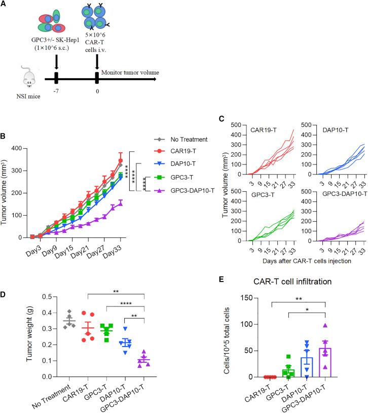 https://cdn.ncbi.nlm.nih.gov/pmc/blobs/7a64/9218287/6524414d132c/gr5.jpg