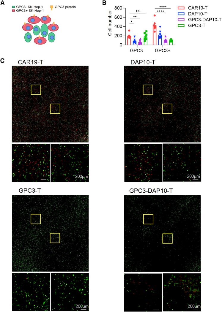 https://cdn.ncbi.nlm.nih.gov/pmc/blobs/7a64/9218287/bdf2a3c487d9/gr3.jpg